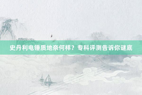 史丹利电锤质地奈何样？专科评测告诉你谜底