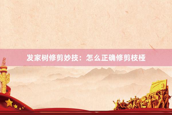 发家树修剪妙技：怎么正确修剪枝桠